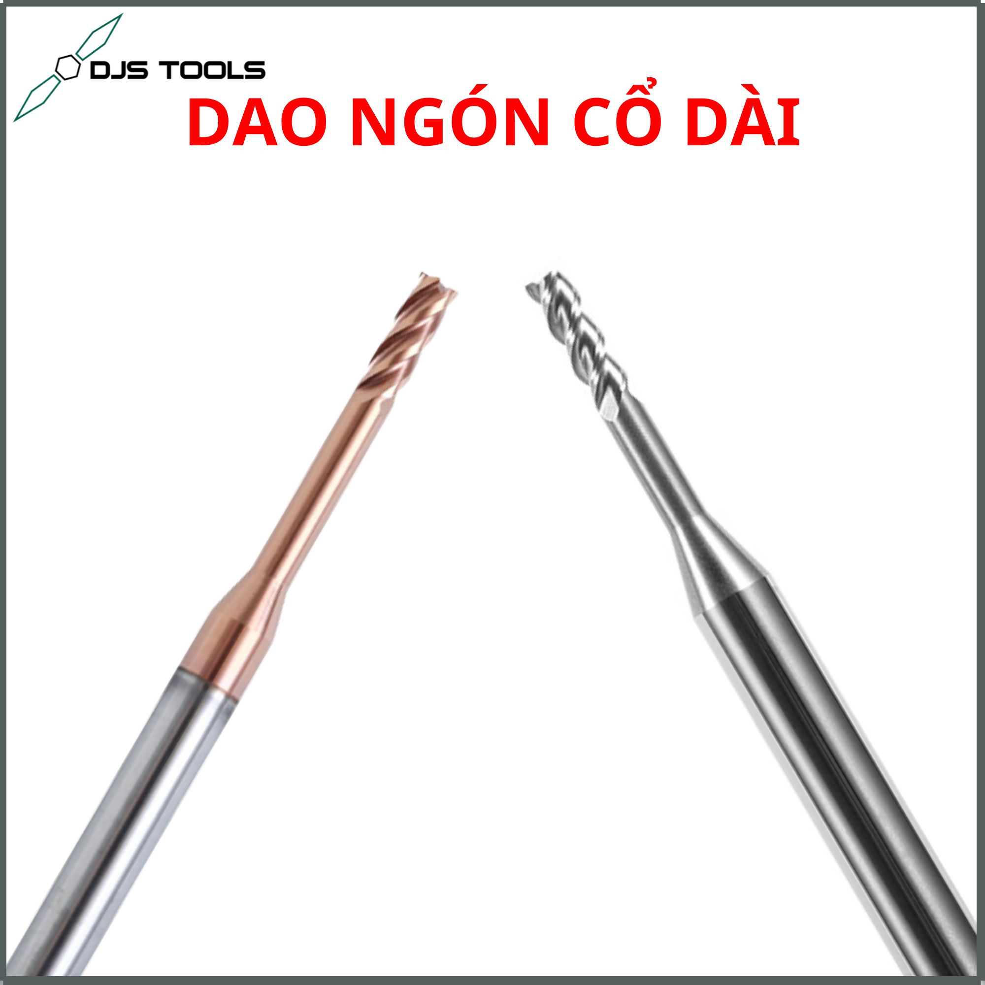 DAO NGON CO DAI