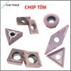 CHIP TIM 1