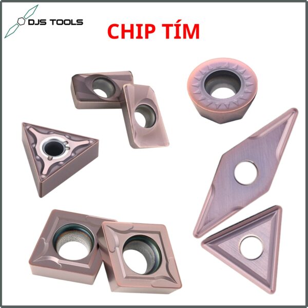 CHIP TIM 1